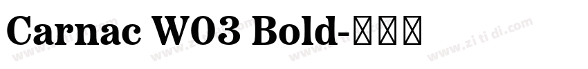 Carnac W03 Bold字体转换